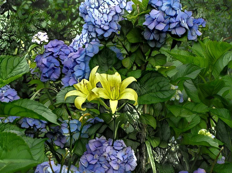 Lilly and hydrangea