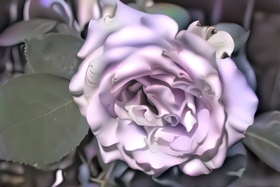 Fractal rose - photo and style by me.