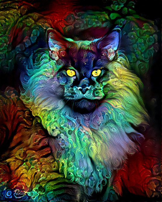 Colorful Kat