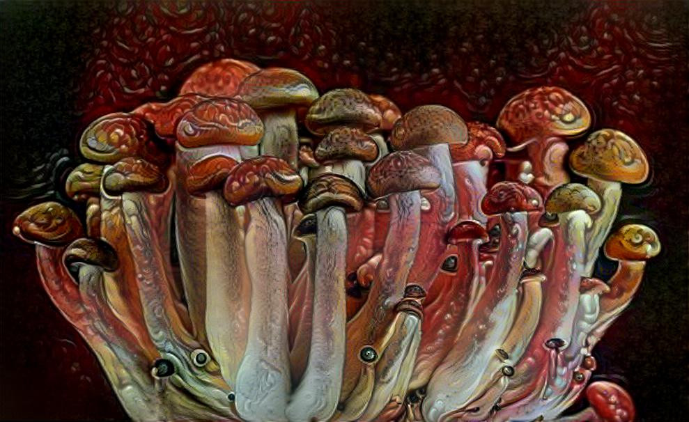 mushroom series