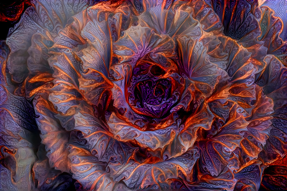 Redreaming Cabbage