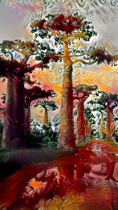 baobab trees, mud puddle, dirt road, fractal