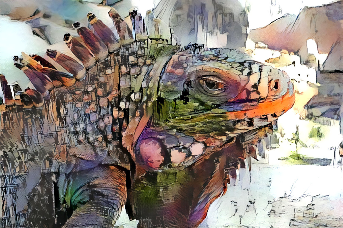 Iguana at home.