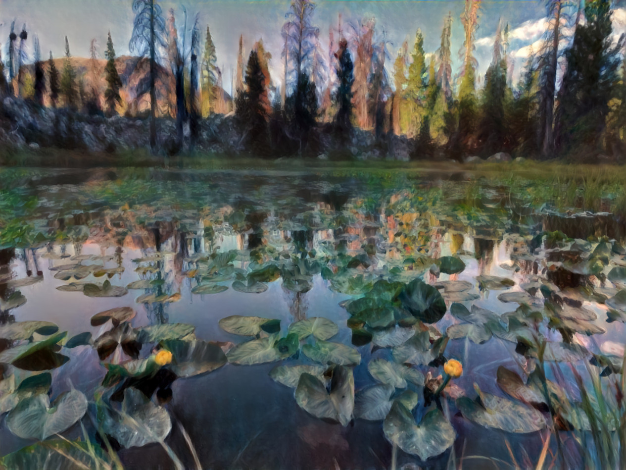 Lilies at Mirror Lake