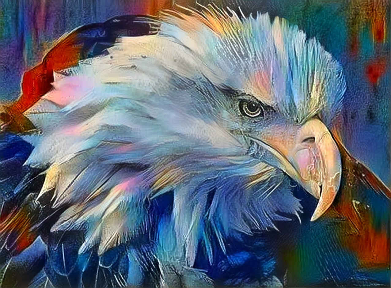 Eagle in Juneau, USA [1.2 MP]