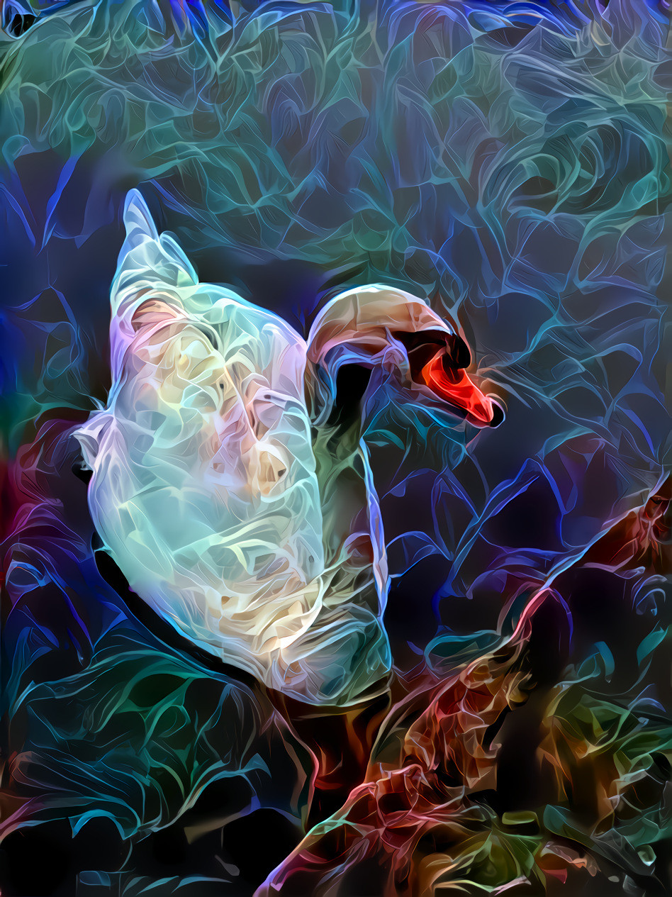 Dreamy Swan