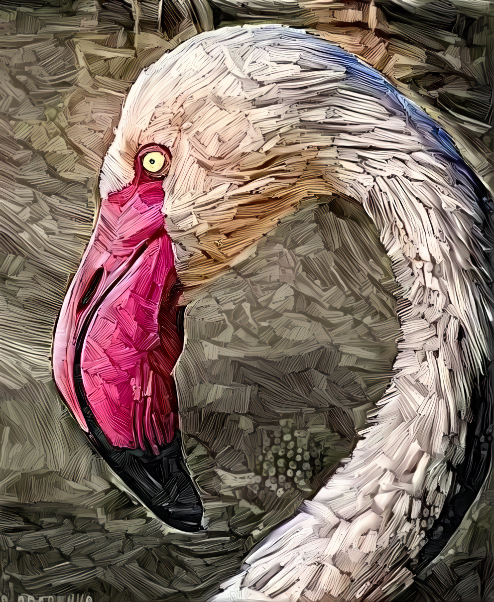 Tale of the rare Blue Rhodesian Ridgeback Flamingo. image courtesy of Doris Paashaus.