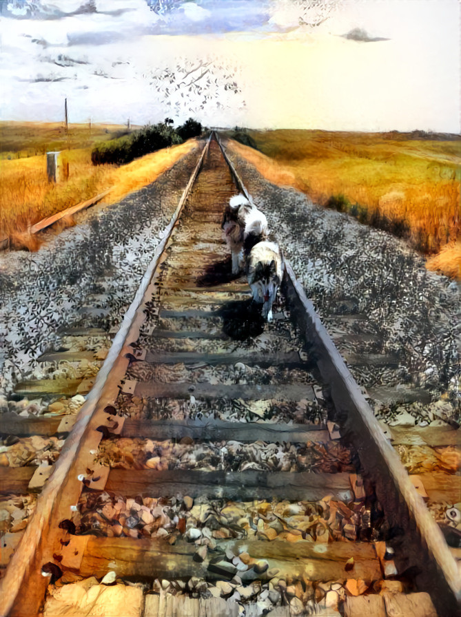 Dogs on the Tracks