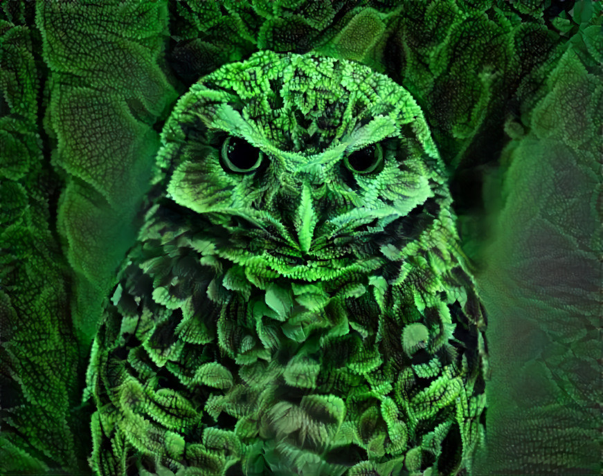 Leaf Owl
