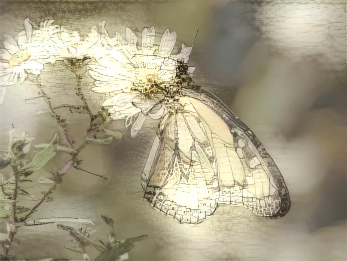 Paper Butterfly Dreams