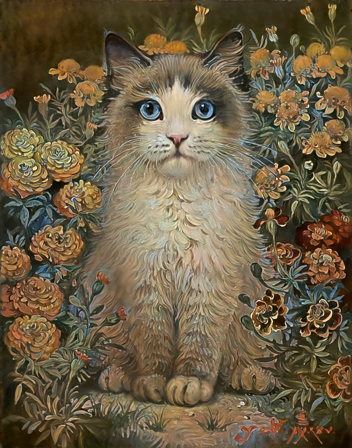 Kitten Art