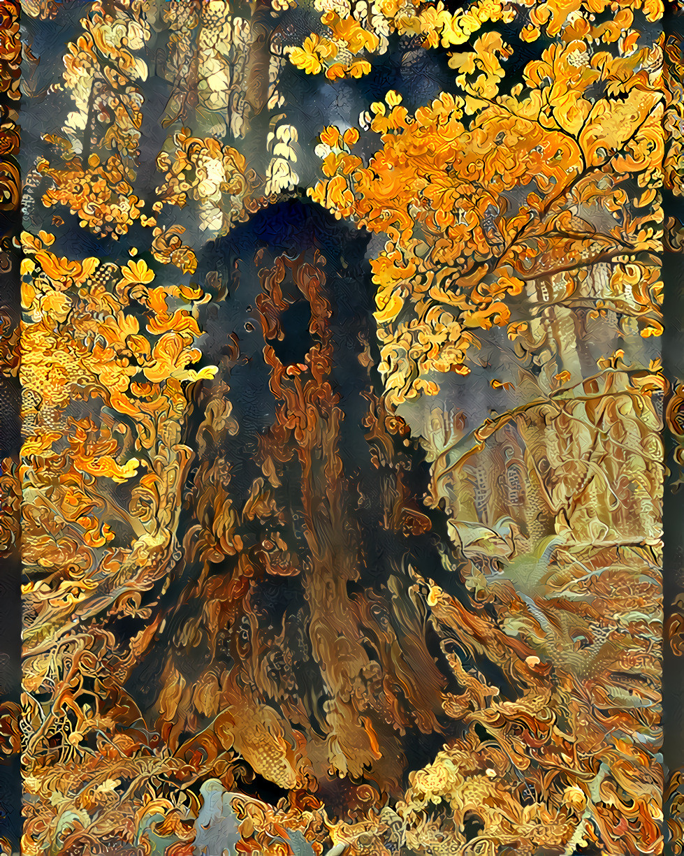 A Fine Old Tree