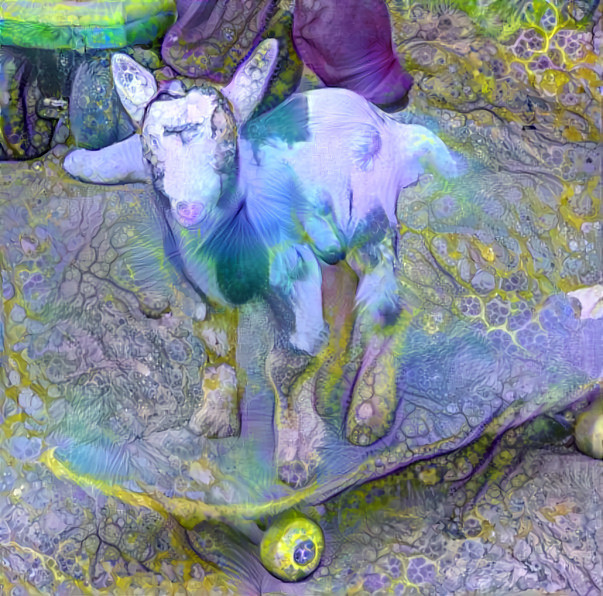 baby goat rides scateboard, green, purple