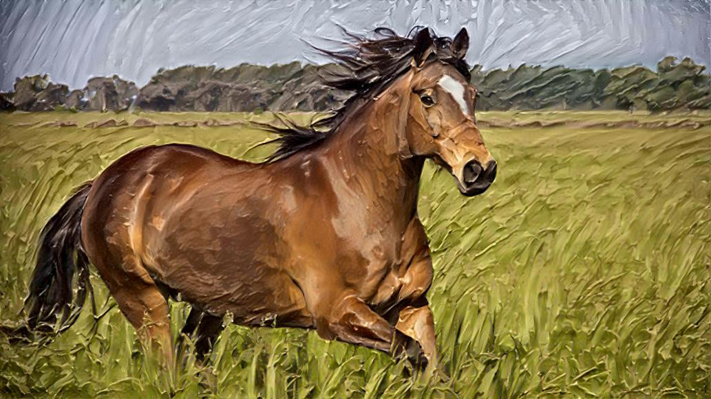 Horse Acrylic 