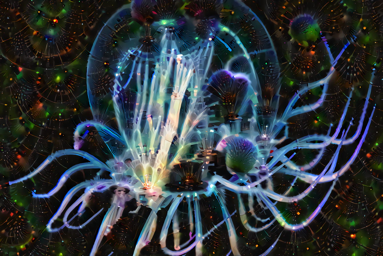 Jellyfish Meets Fireworks