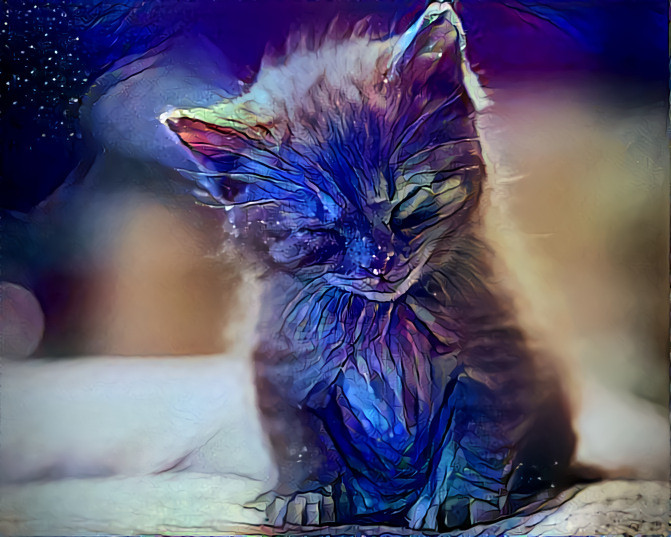 Sapphire cat