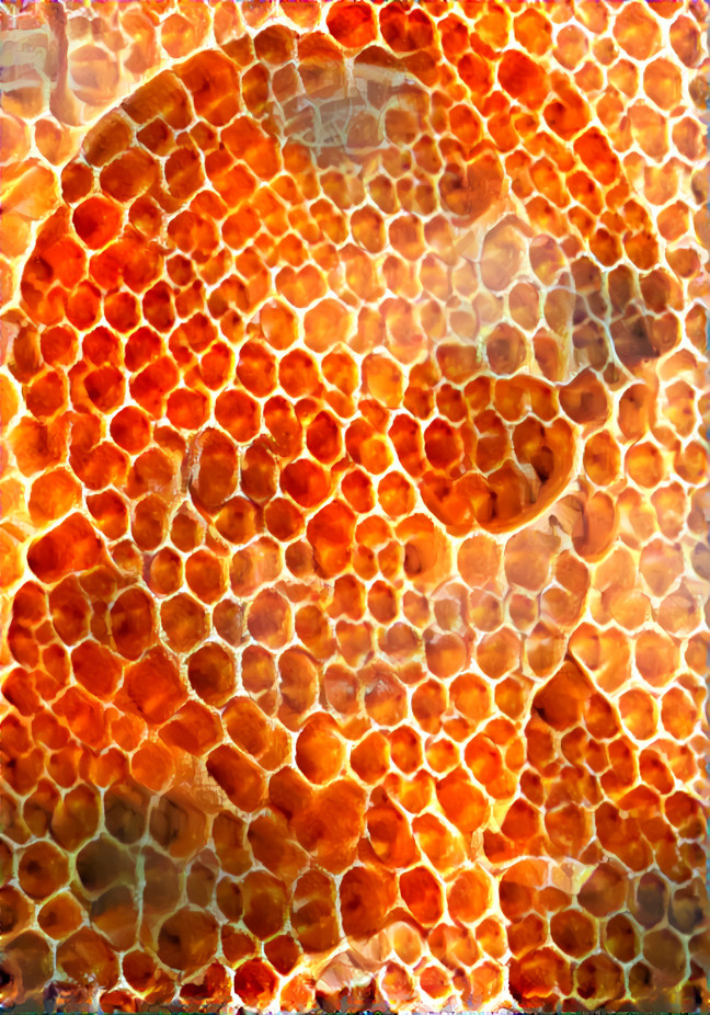 honeycomb-portrait