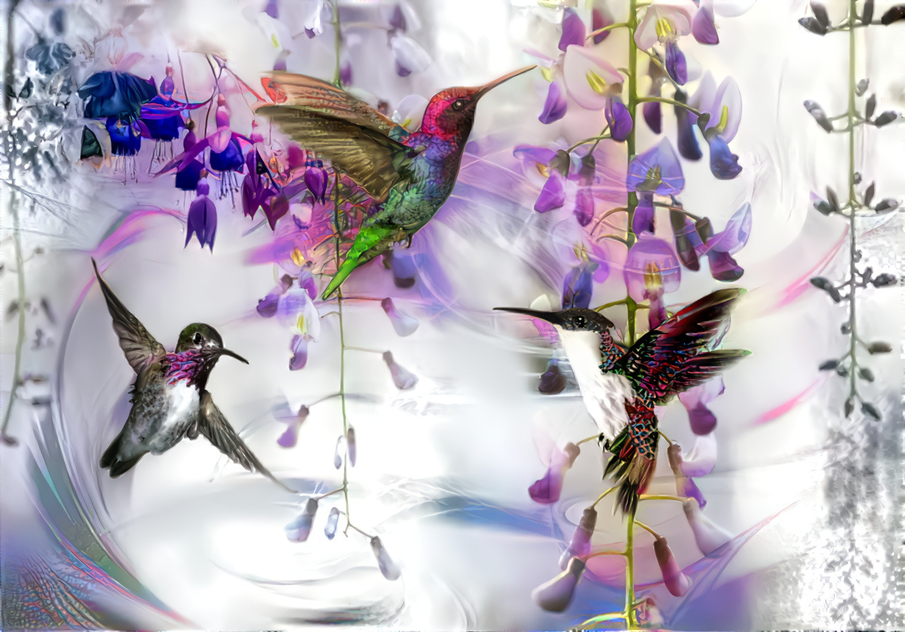 flying hummingbirds ( летающие колибри )