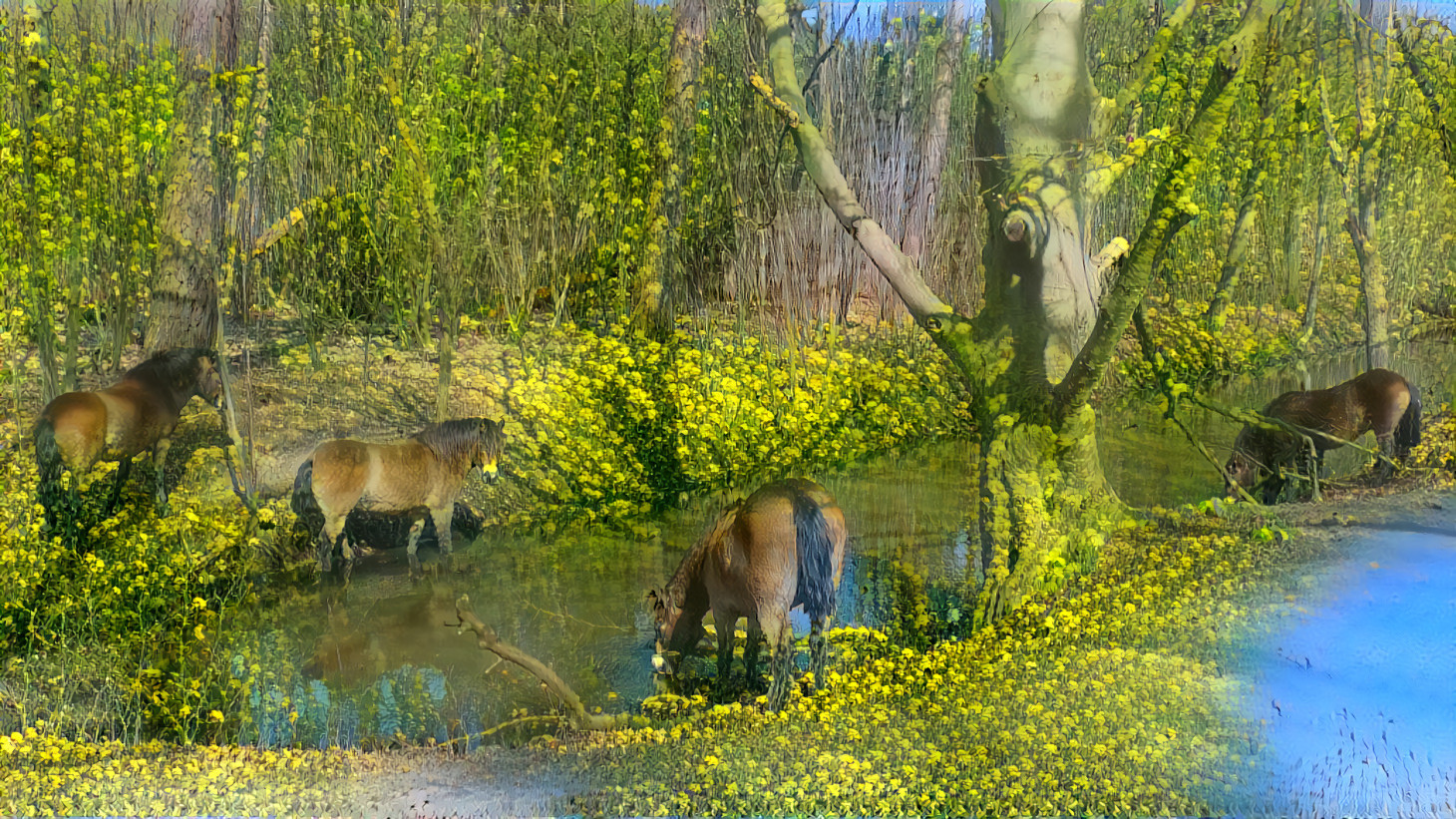 Wild horses in the forest.