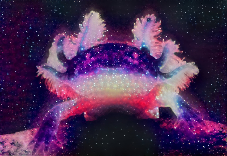 Cosmic Axolotl