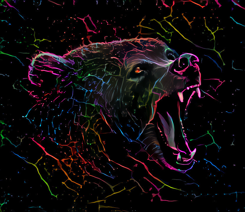 neon bear