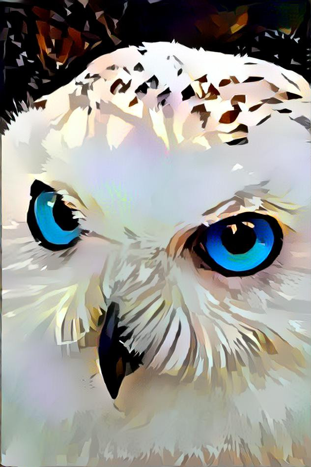 Owl With The Blue Eyes