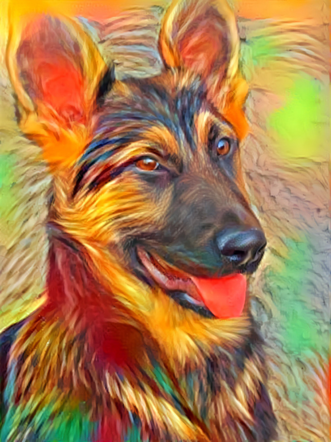 Alina-my lovely german sheper dog