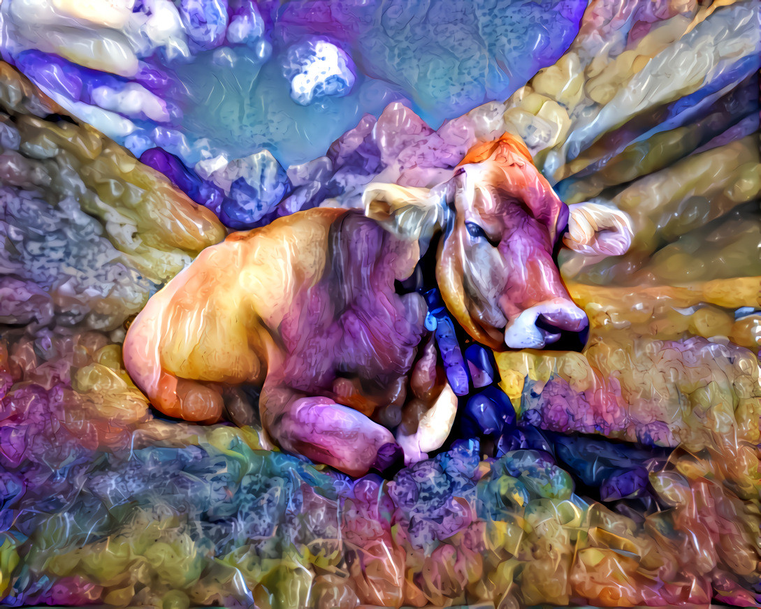 The Jellybean Cow