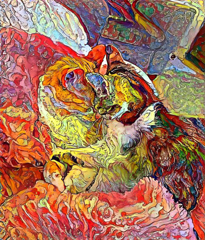 Cat Embrace, Psychedelic Paints