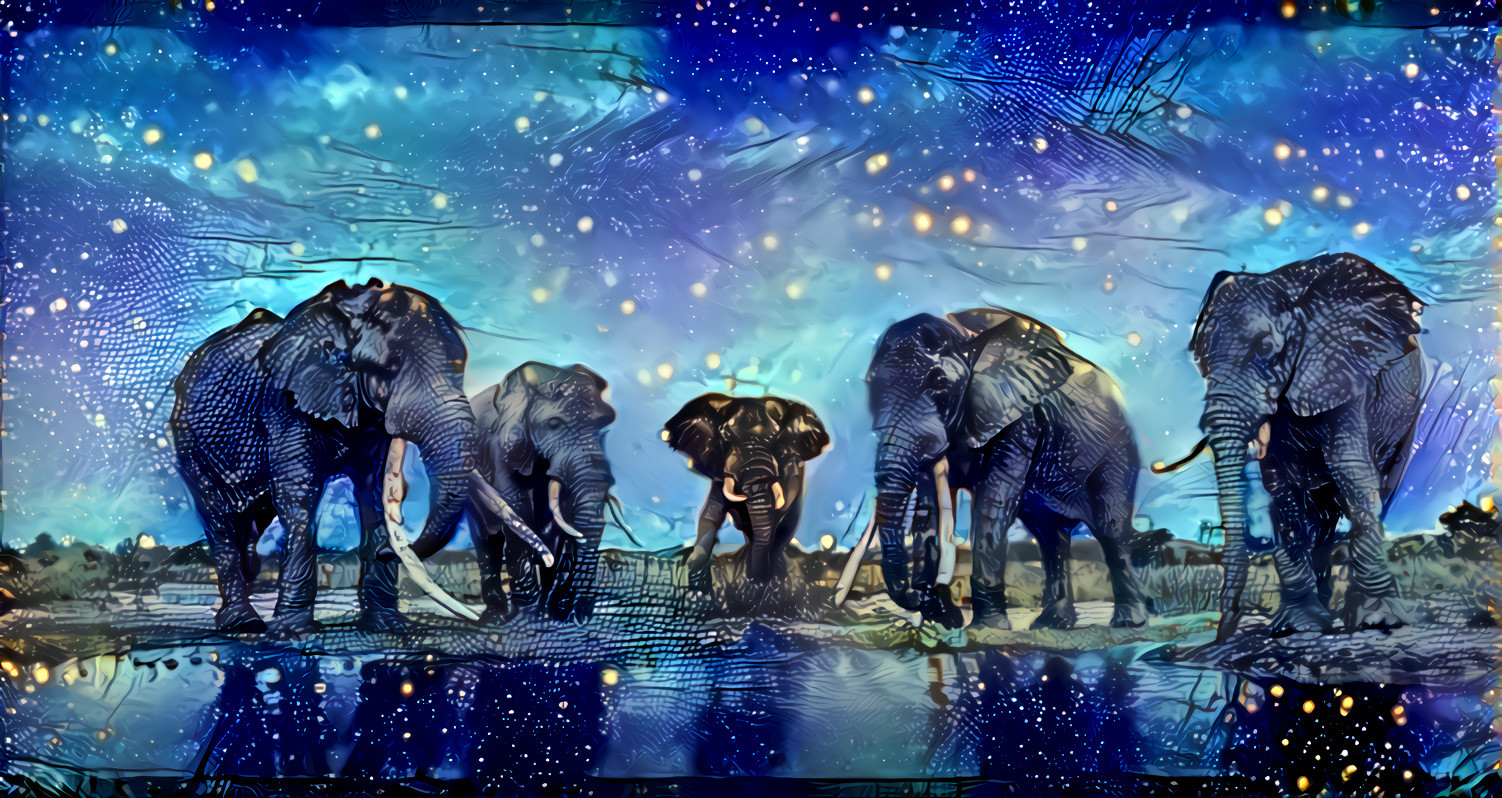 Stars, Fireflies and Elephants -- by Klaus Tiedge