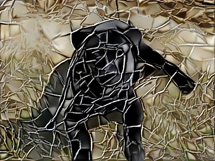 Lab Puppy Stained Glass