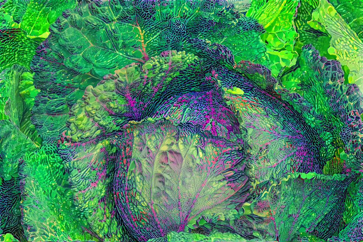 Cabbage-food-green-33315 textile 1_3