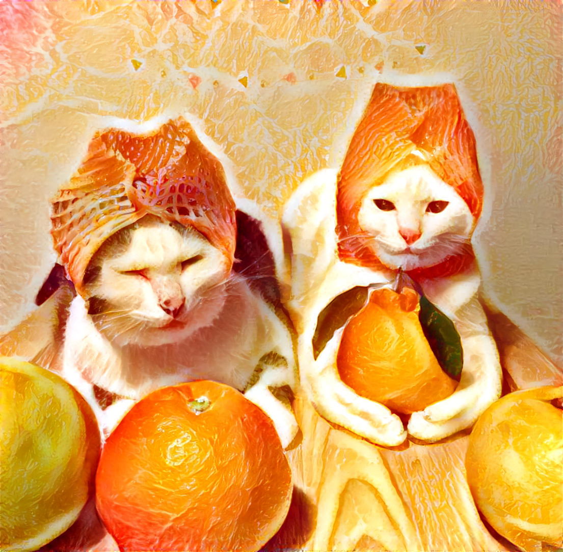 Cats with fruit 