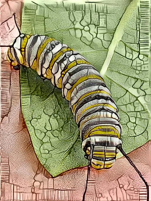 Beverly Caterpillar