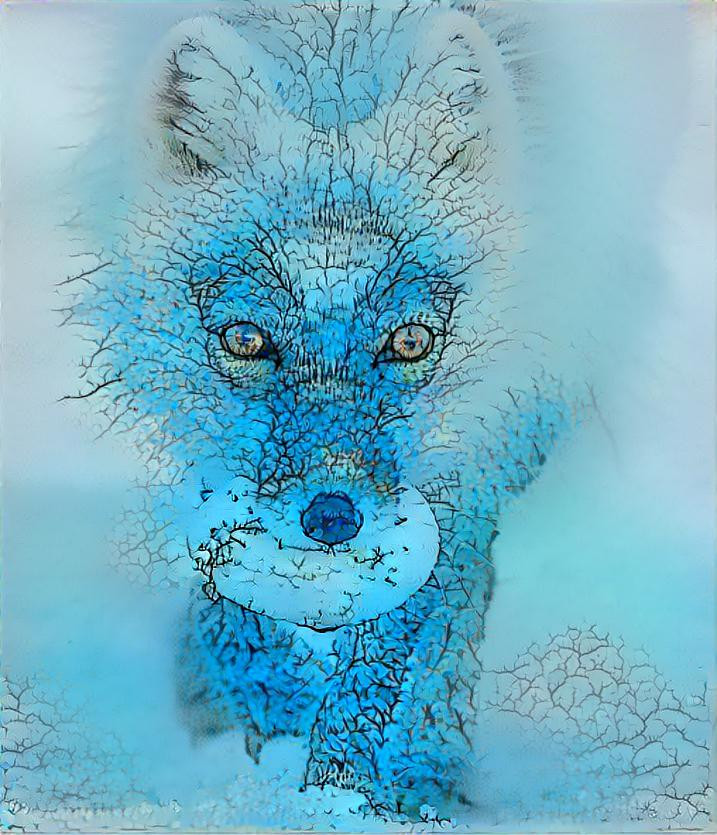 Snow Fox In Blue
