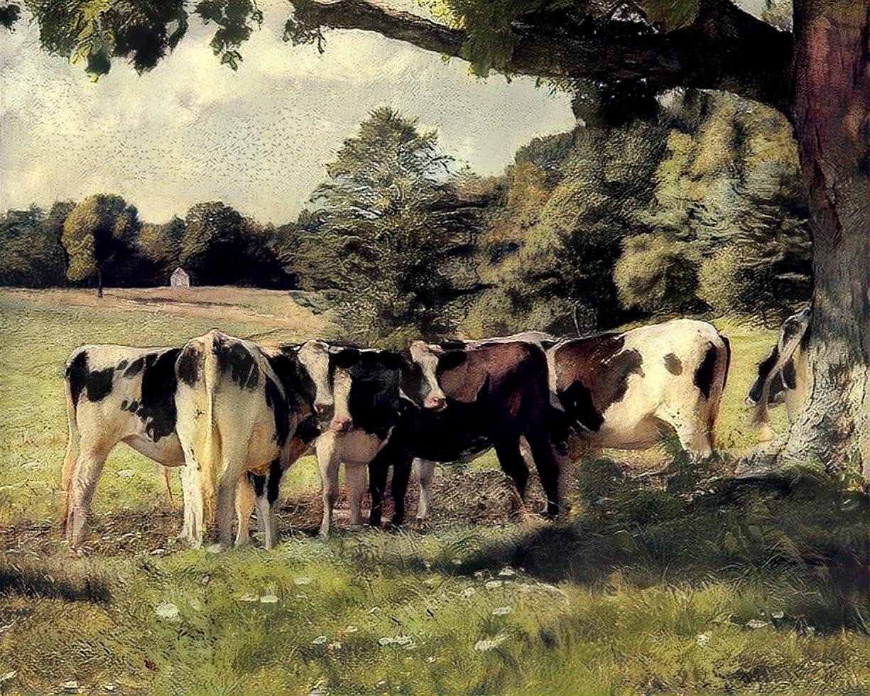 Cows In The Paddock - Oil Painting Style