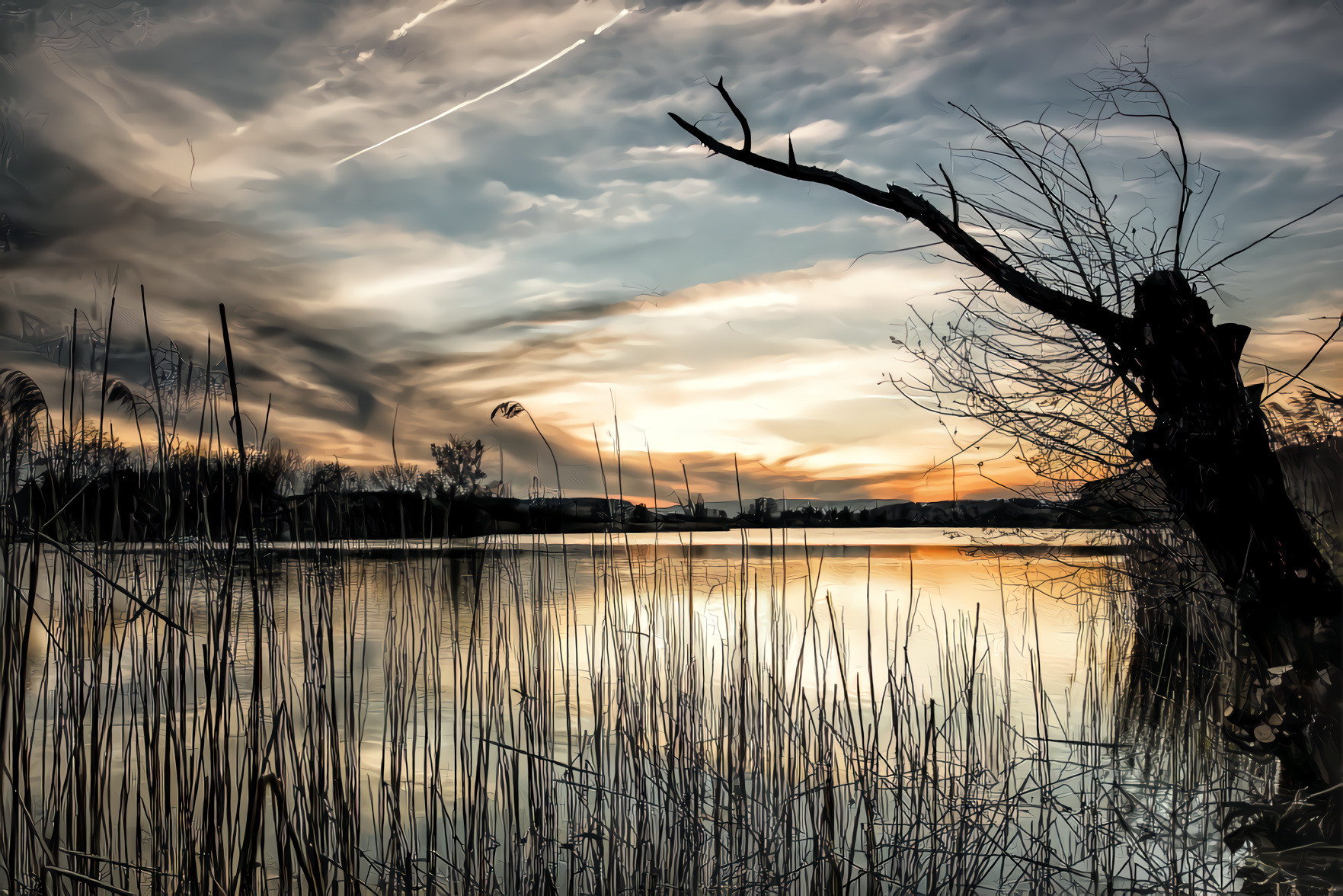 Lake, Reeds, Sunset
