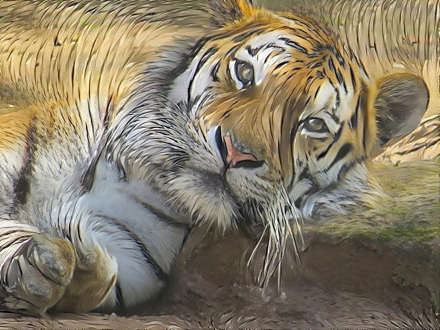 Tigere