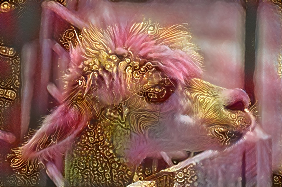 Subject: Alpaca by paulbr75 on pixabay. Syle: Three Pink Poppies by Cherie Roe Dirksen