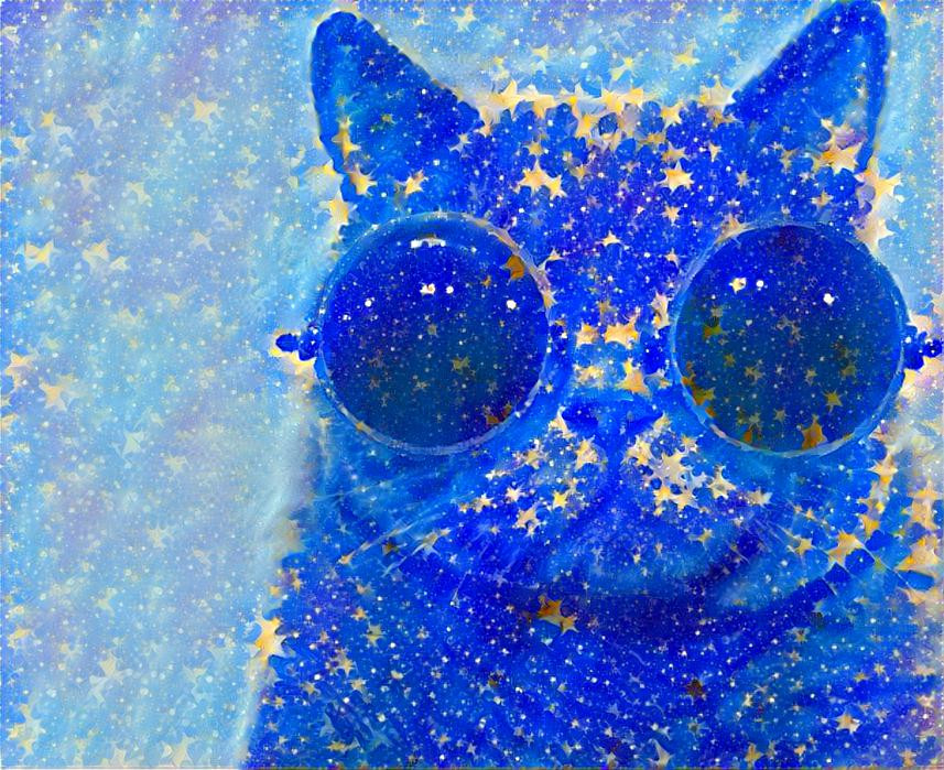 Starry Kat