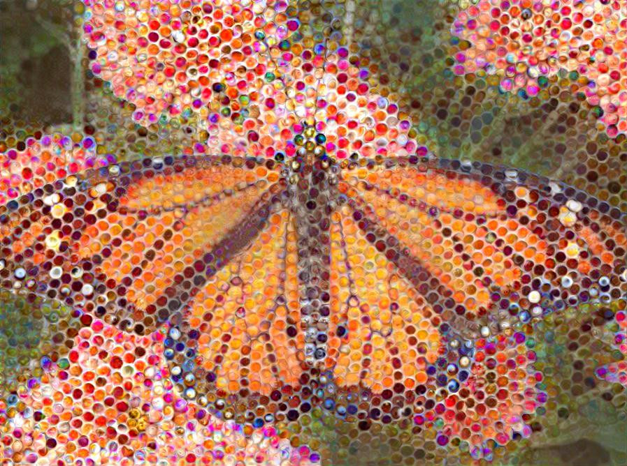 Monarch Pixels 