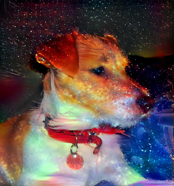 Space Mystical Doggo