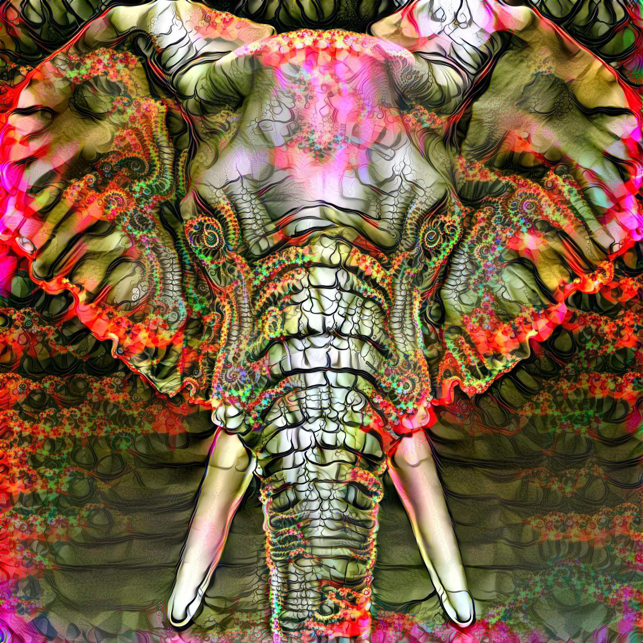 Elephandelic
