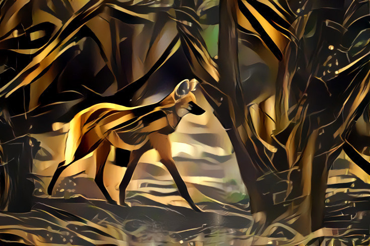 Maned Wolf, Gold