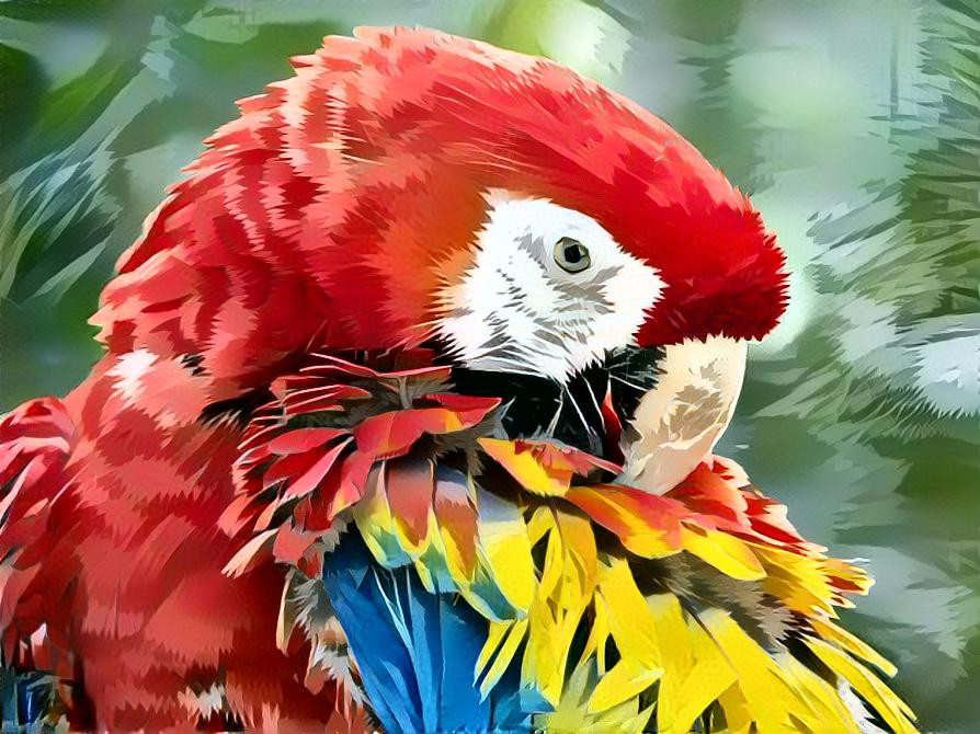 Deep Dream: Grooming Macaw (Ver.2)