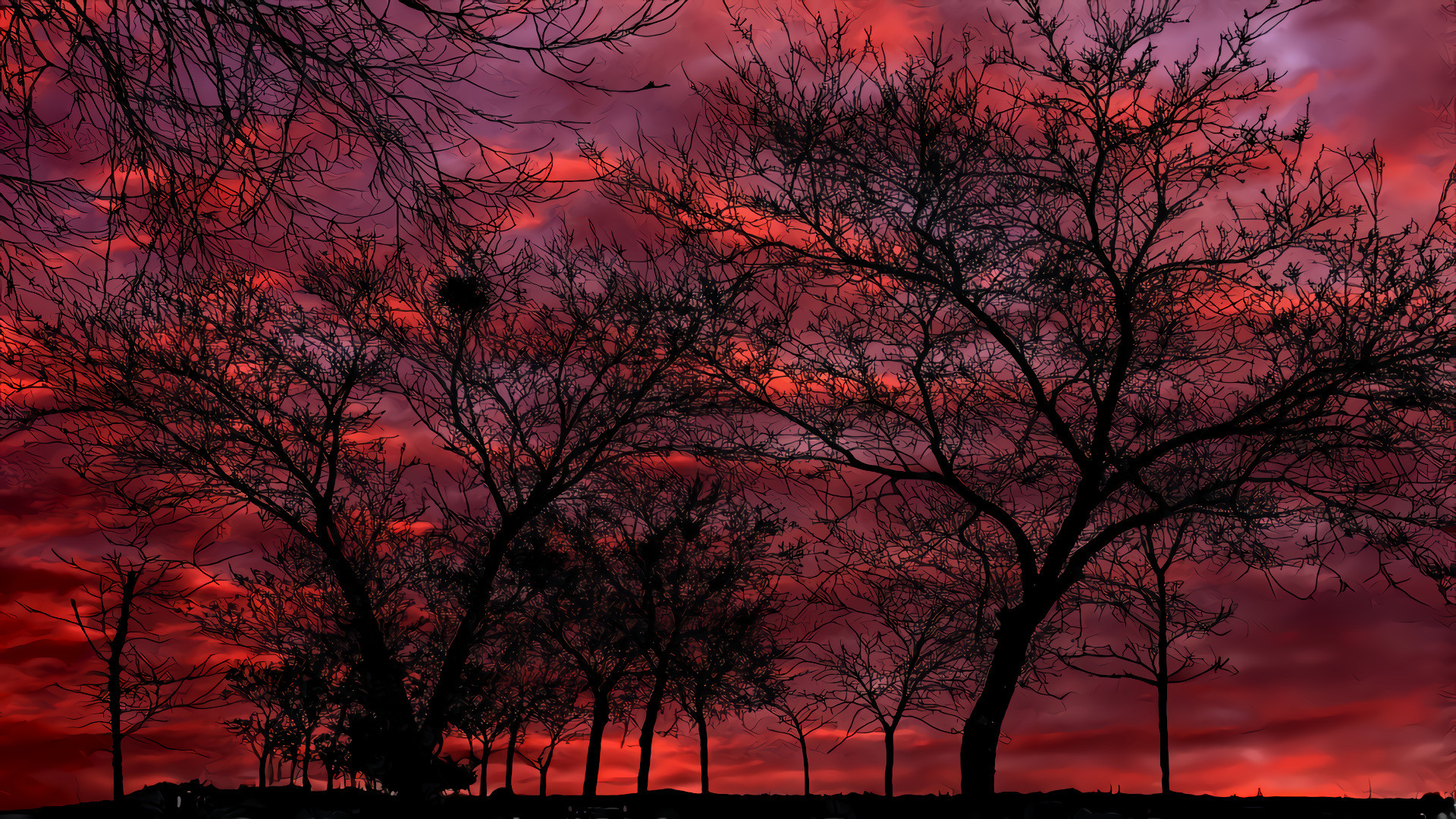 Red Sunset, Trees