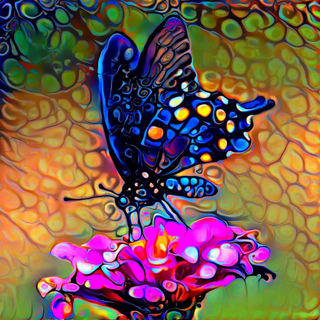 Hypnotic Butterfly HD