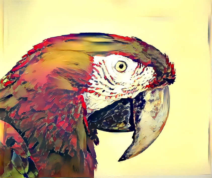 Macaw Draw /// OG Pic credit : Bernard Spragg https://www.flickr.com/photos/volvob12b/