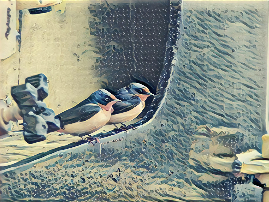 Birds in a Boat