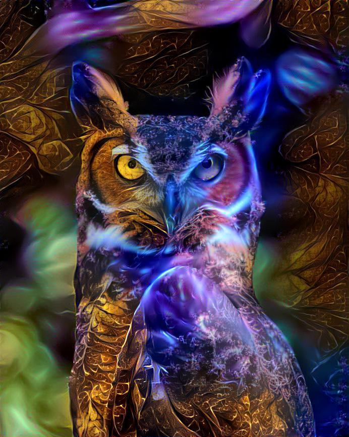 Fire and Ice Owl